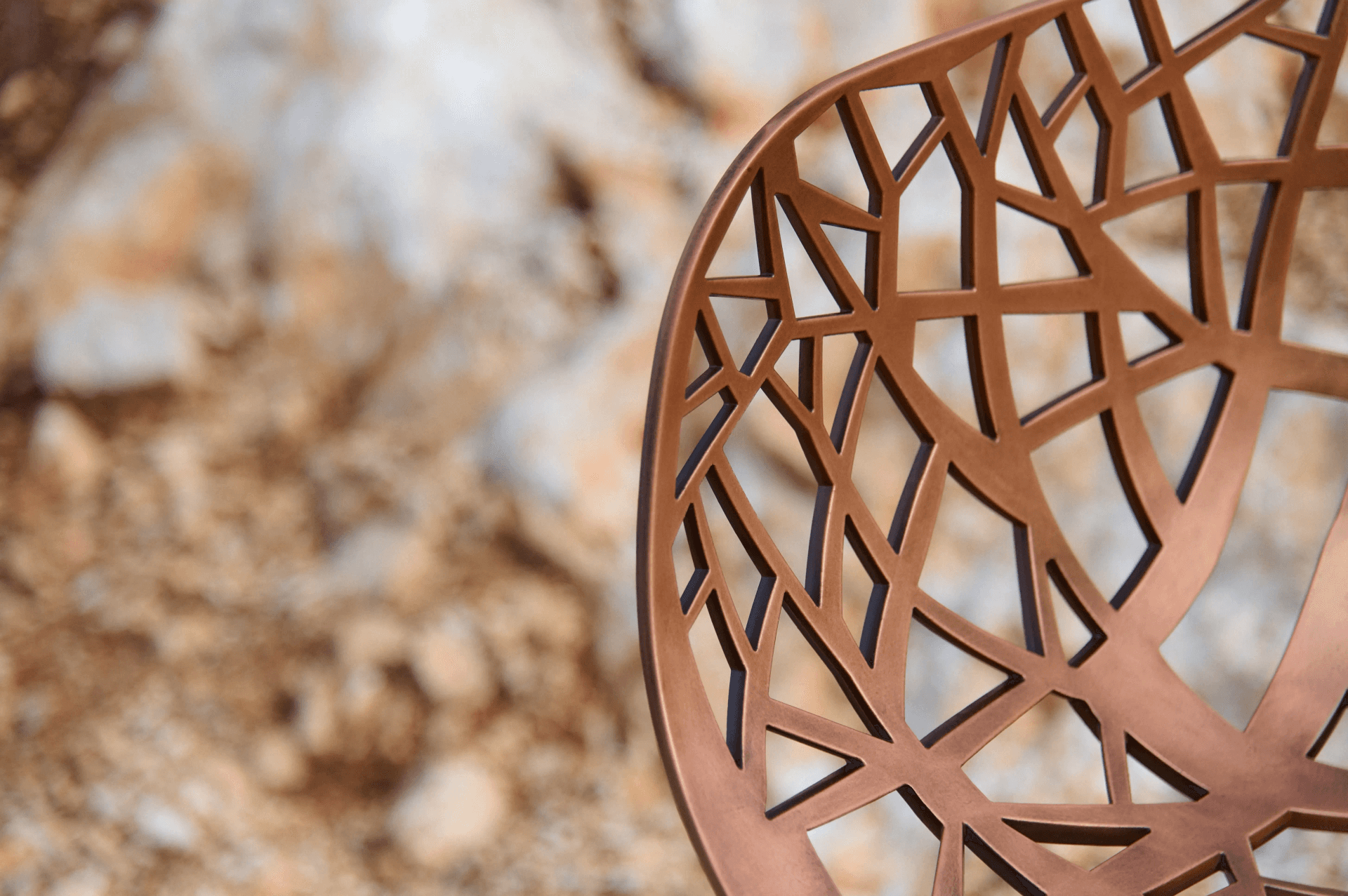 FAST FOREST LIMITED EDITION 10